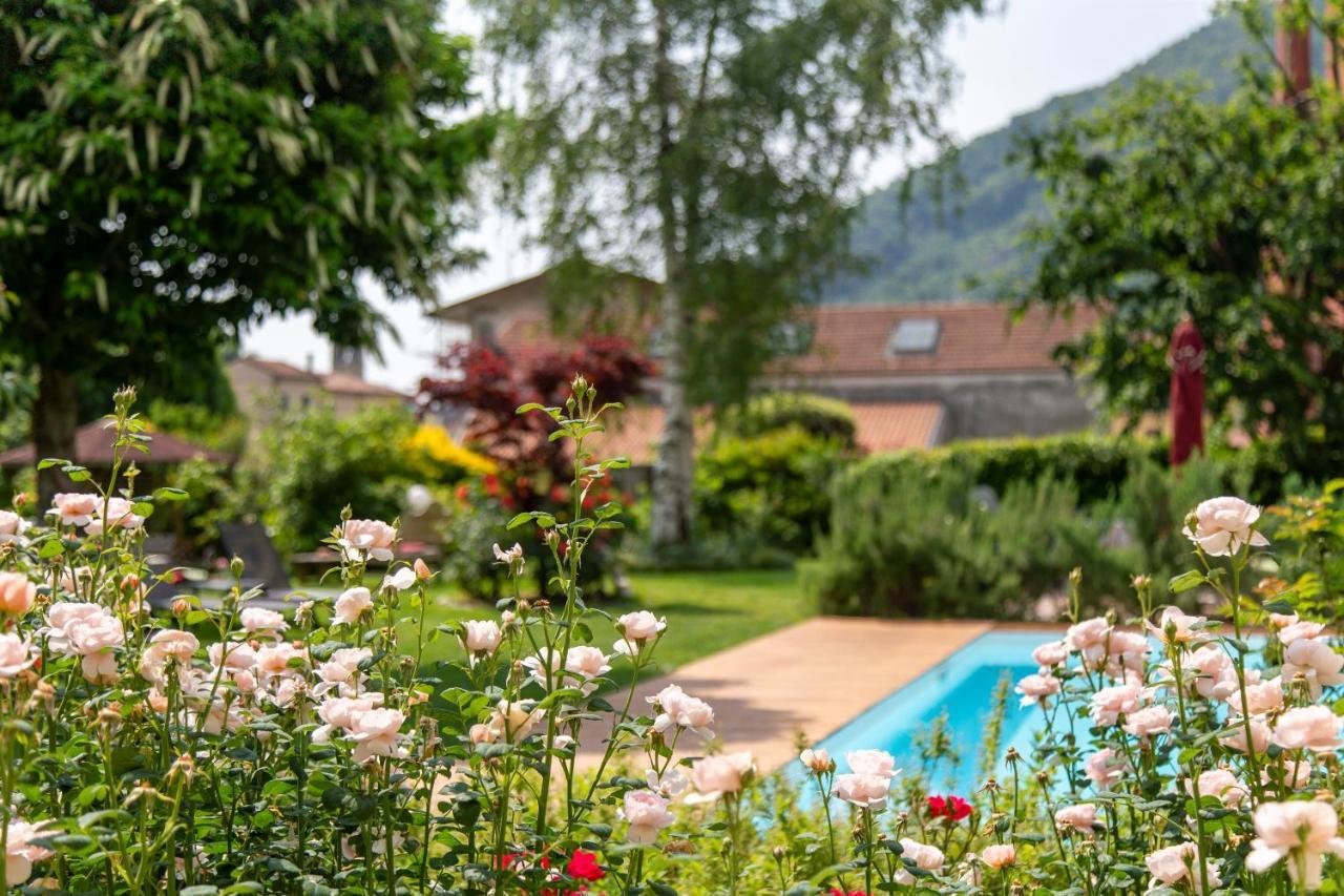 Hotel Calvi-Ristorante Mainor วิตโตรีโอ เวเนโต ภายนอก รูปภาพ